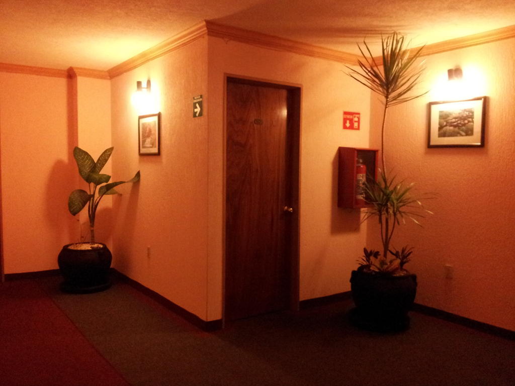 Hotel Siesta Del Sur 멕시코 시 외부 사진